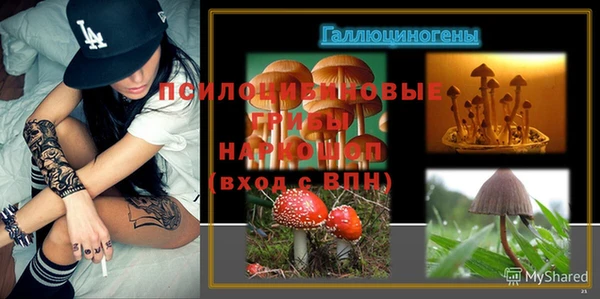 ешки Алзамай