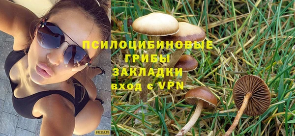дживик Алексин